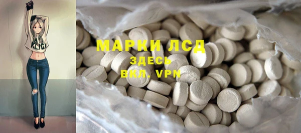 хмурый Липки
