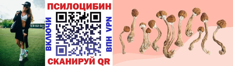 Галлюциногенные грибы Cubensis  наркотики  Бобров 